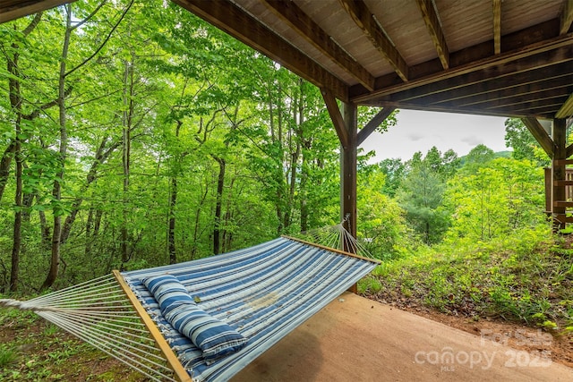 56 Great Horned Owl Rd, Candler, NC 28715 - photo 39
