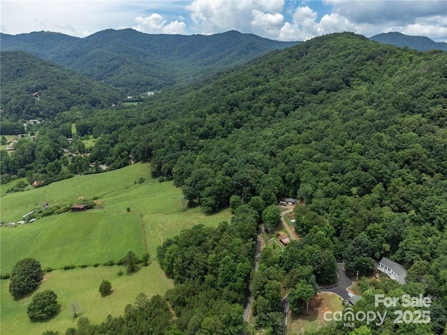 56 Great Horned Owl Rd, Candler, NC 28715 - photo 42