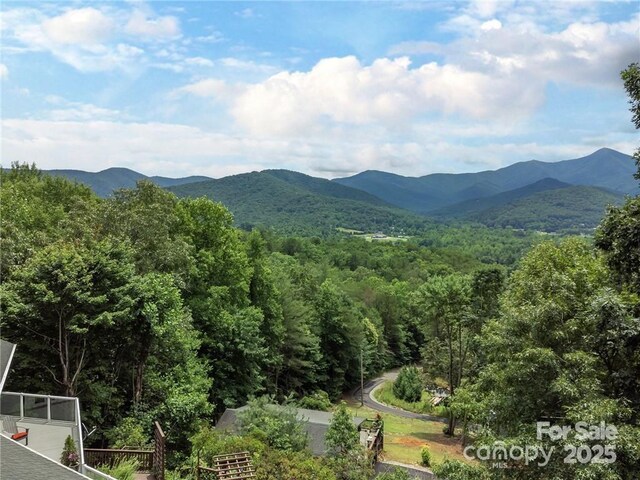 56 Great Horned Owl Rd, Candler, NC 28715 - photo 43