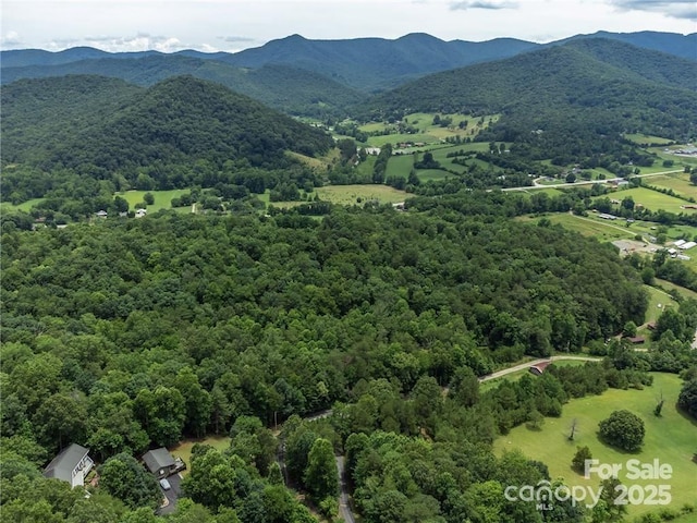 56 Great Horned Owl Rd, Candler, NC 28715 - photo 44