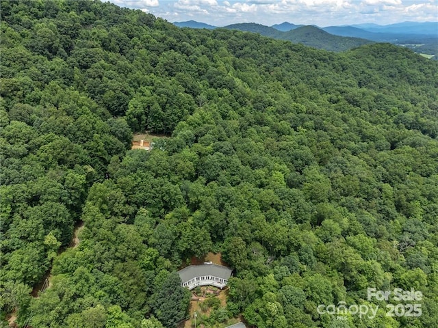 56 Great Horned Owl Rd, Candler, NC 28715 - photo 45