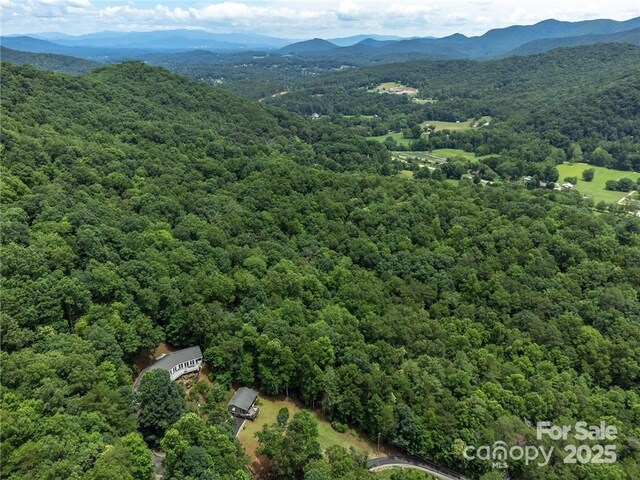 56 Great Horned Owl Rd, Candler, NC 28715 - photo 46