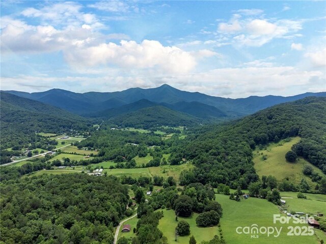 56 Great Horned Owl Rd, Candler, NC 28715 - photo 1