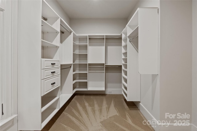 spacious closet featuring carpet flooring