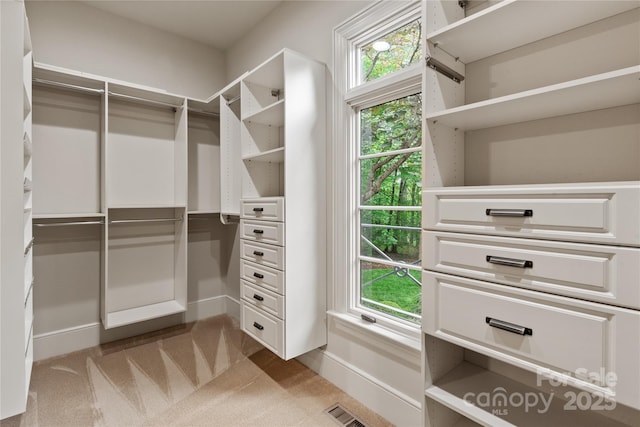 spacious closet with carpet flooring