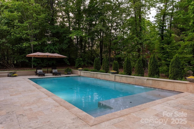 swimming pool featuring a patio area