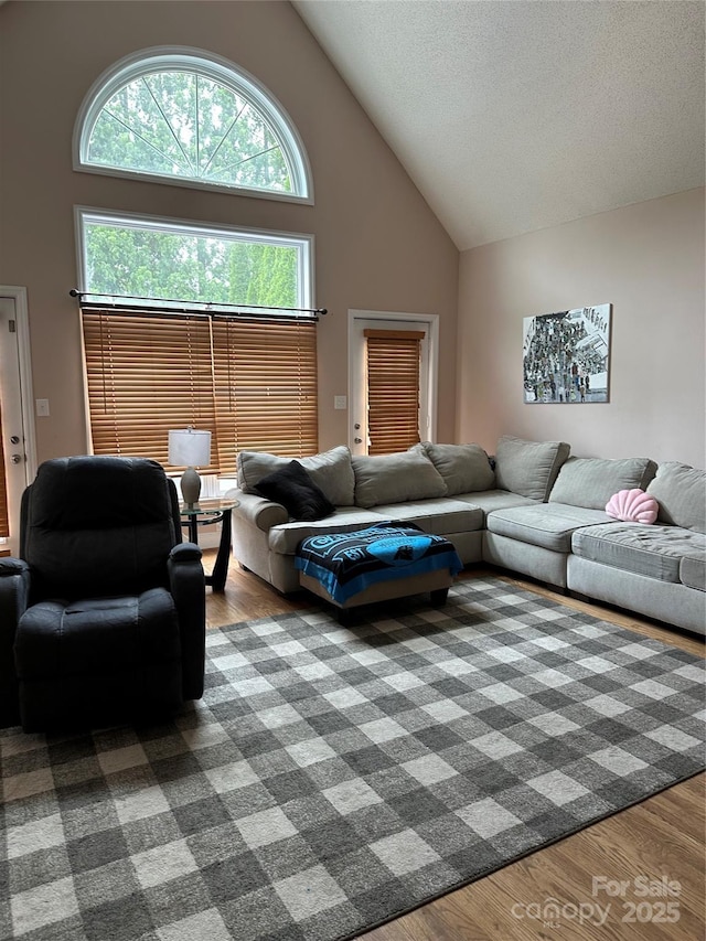 living room featuring high vaulted ceiling, dark wood-type flooring, and a textured ceiling