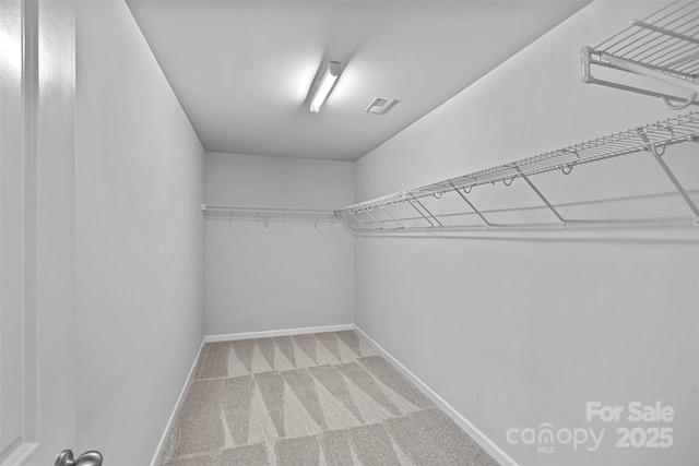 10906 Charmont Pl, Huntersville, NC 28078 - walk in closet with carpet floors