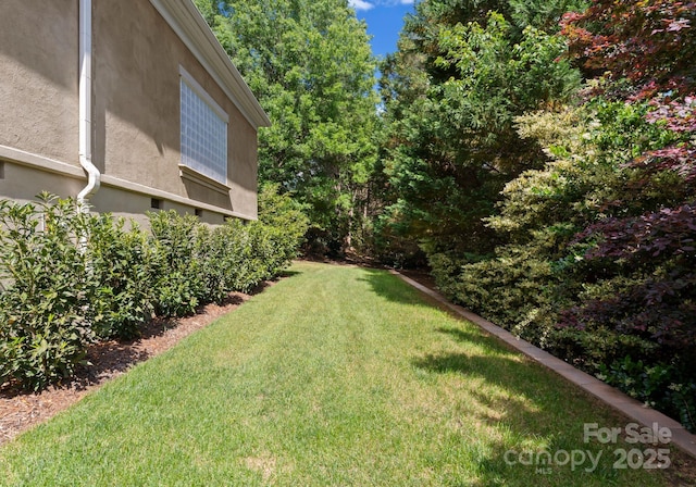 4429 Cameron Oaks Dr, Charlotte, NC 28211 - view of yard