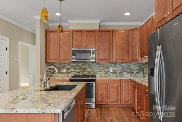 38 Unadilla Aly, Asheville, NC 28803 - kitchen featuring appliances with stainless steel finishes, a sink, wood finished floors, ornamental molding, and light stone countertops