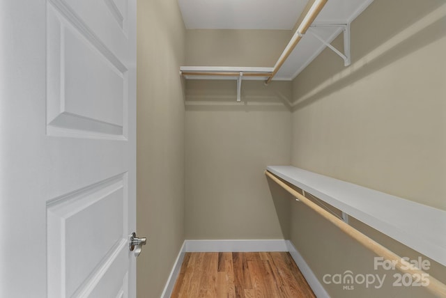 38 Unadilla Aly, Asheville, NC 28803 - walk in closet featuring light wood-style flooring