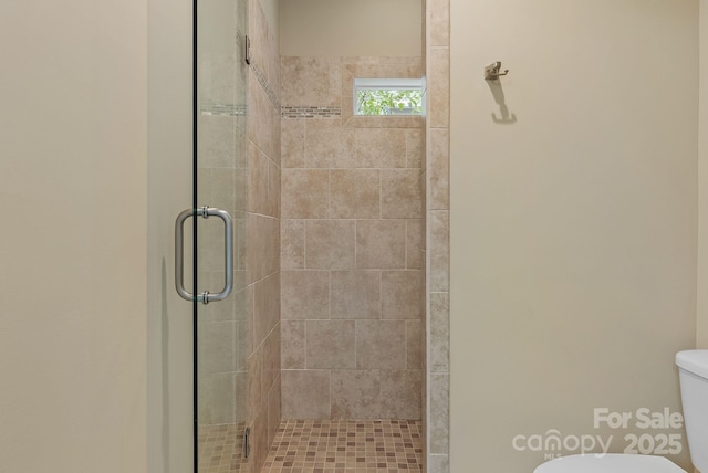 38 Unadilla Aly, Asheville, NC 28803 - bathroom with a stall shower and toilet