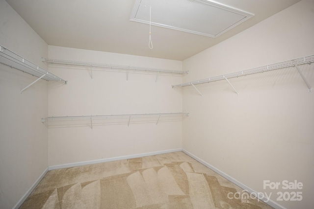 15037 Taylor Ridge Ln Unit 25, Charlotte, NC 28273 - spacious closet with attic access and light carpet