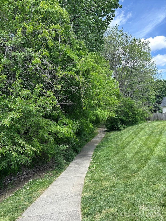 15037 Taylor Ridge Ln Unit 25, Charlotte, NC 28273 - view of community