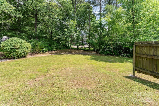 201 Easy St, Concord, NC 28027 - view of yard
