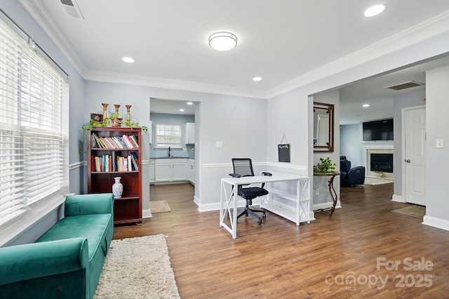 10431 Plantain Ct, Charlotte, NC 28213 - office featuring wood finished floors, a sink, a fireplace, ornamental molding, and recessed lighting