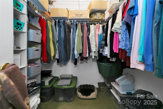 view of walk in closet