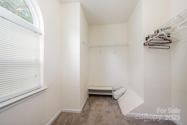 10016 Lawing School Rd, Charlotte, NC 28214 - walk in closet with carpet