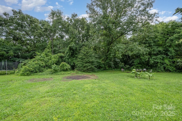 10016 Lawing School Rd, Charlotte, NC 28214 - view of green lawn featuring a trampoline