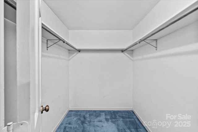 8017 Prince George Rd, Charlotte, NC 28210 - spacious closet featuring carpet flooring