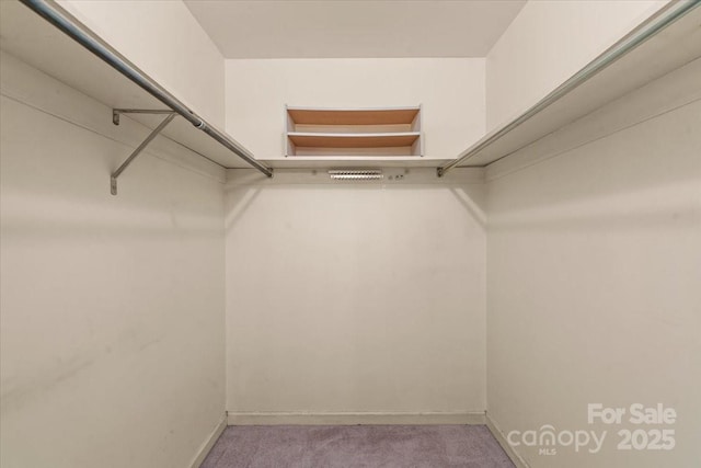 8017 Prince George Rd, Charlotte, NC 28210 - spacious closet featuring carpet flooring