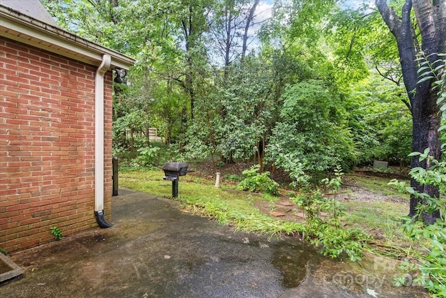 8017 Prince George Rd, Charlotte, NC 28210 - view of yard
