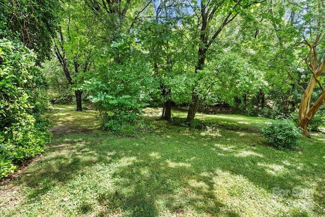 8017 Prince George Rd, Charlotte, NC 28210 - view of green lawn featuring a wooded view