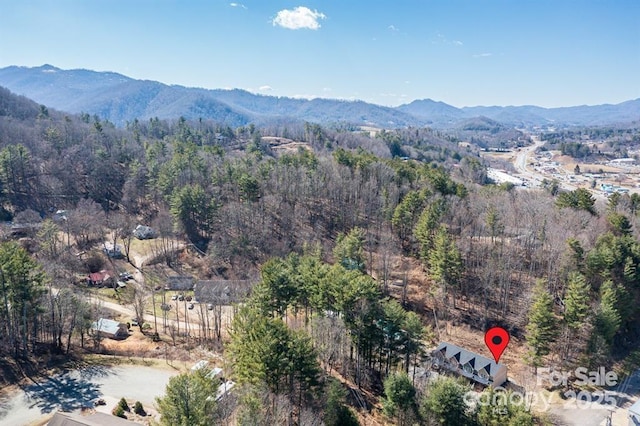 330 Bowditch St Unit 2A, Burnsville, NC 28714 - photo 23