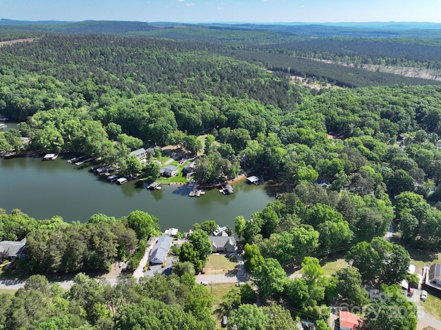 126 Strand Rd, New London, NC 28127 - drone / aerial view of a forest and a nearby body of water