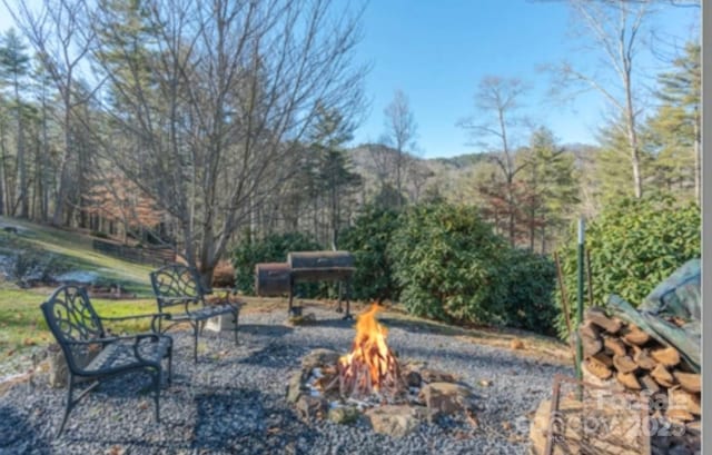 45 Gracious Ln, Waynesville, NC 28785 - photo 42