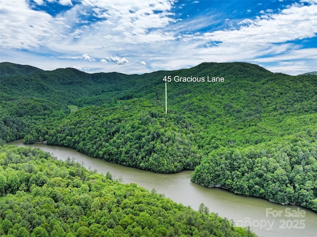 45 Gracious Ln, Waynesville, NC 28785 - photo 44