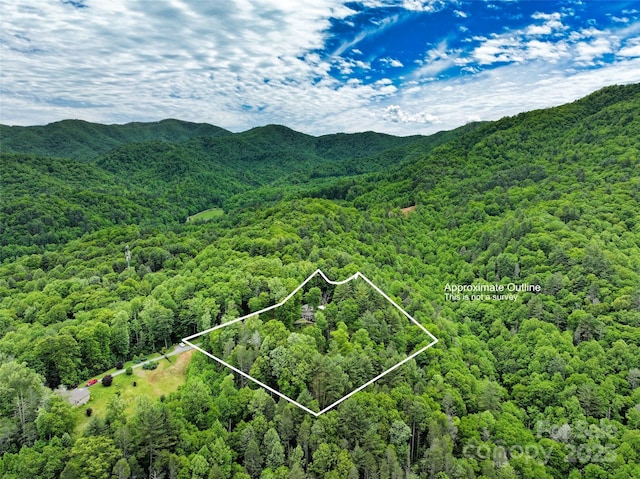 45 Gracious Ln, Waynesville, NC 28785 - photo 45