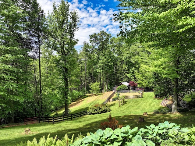 45 Gracious Ln, Waynesville, NC 28785 - photo 26