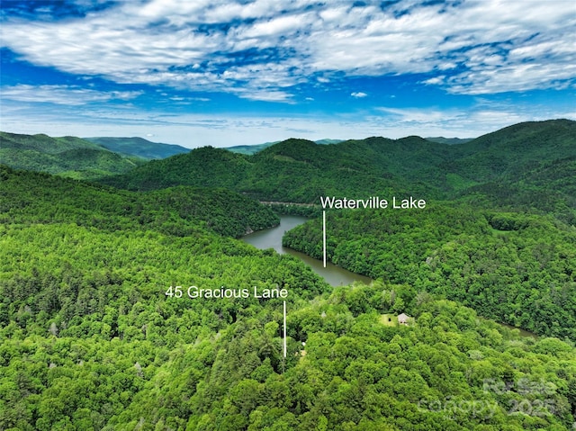 45 Gracious Ln, Waynesville, NC 28785 - photo 6