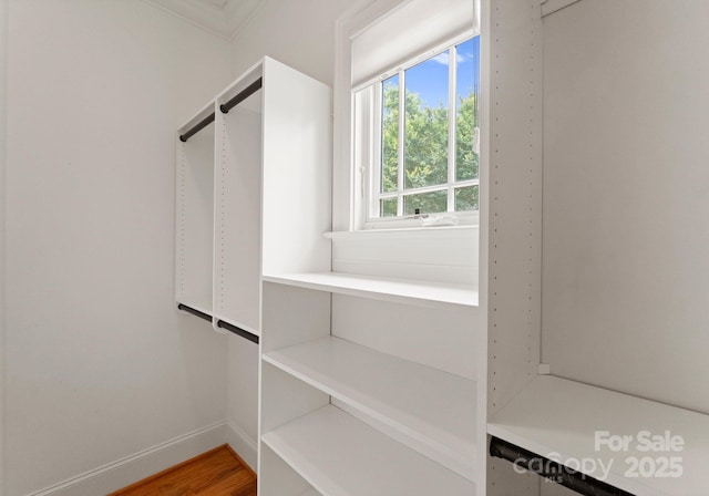 3815 Stoney Ridge Trl, Charlotte, NC 28210 - view of walk in closet
