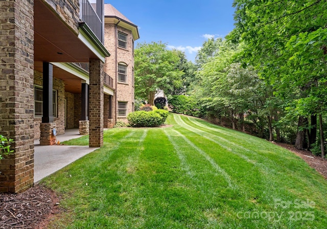 3815 Stoney Ridge Trl, Charlotte, NC 28210 - view of grassy yard