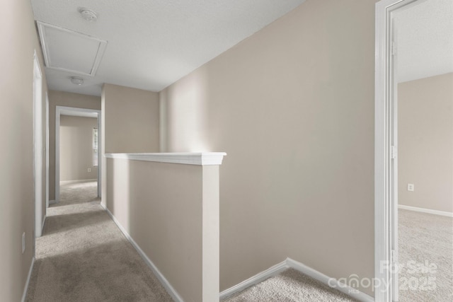 14010 Pinyon Pine Ln, Charlotte, NC 28215 - photo 17