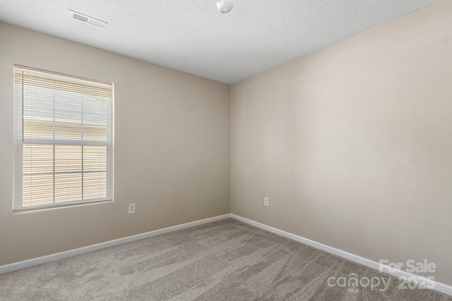 14010 Pinyon Pine Ln, Charlotte, NC 28215 - photo 22