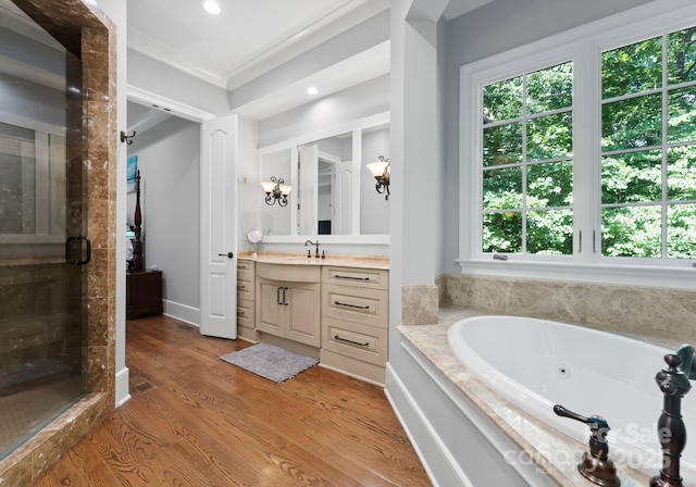 12835 Ninebark Trl, Charlotte, NC 28278 - bathroom with vanity, plenty of natural light, a shower stall, a whirlpool tub, and recessed lighting