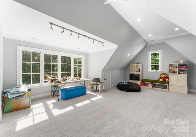 12835 Ninebark Trl, Charlotte, NC 28278 - rec room featuring carpet floors, lofted ceiling, recessed lighting, and track lighting