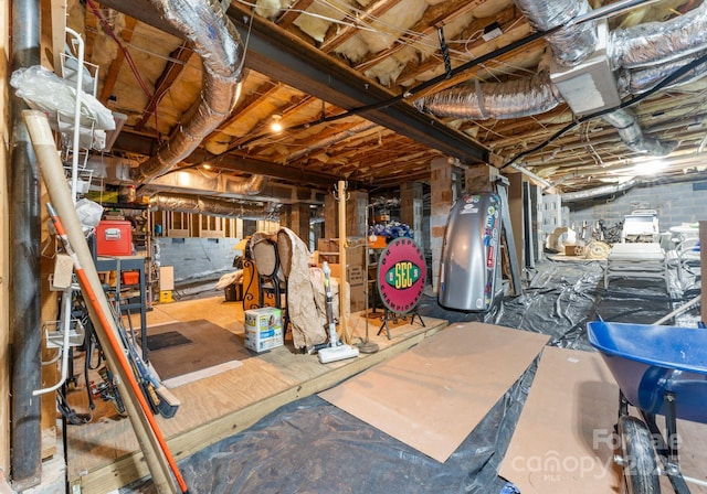 12835 Ninebark Trl, Charlotte, NC 28278 - view of unfinished below grade area