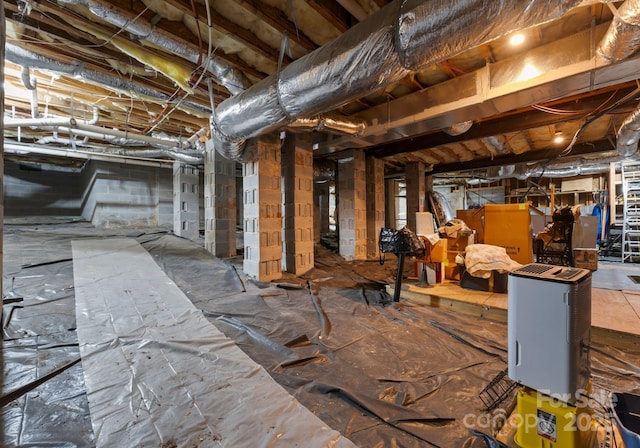 12835 Ninebark Trl, Charlotte, NC 28278 - view of unfinished basement