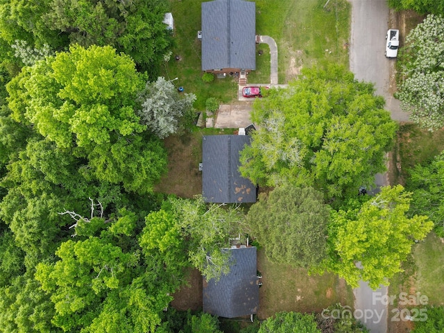 bird's eye view