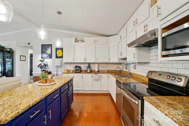 6221 Thermal Rd, Charlotte, NC 28211 - kitchen with stainless steel appliances, blue cabinetry, a sink, under cabinet range hood, and vaulted ceiling