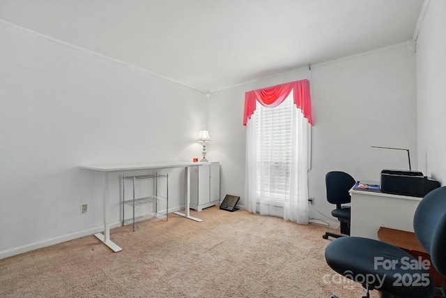 6221 Thermal Rd, Charlotte, NC 28211 - office space featuring ornamental molding and carpet