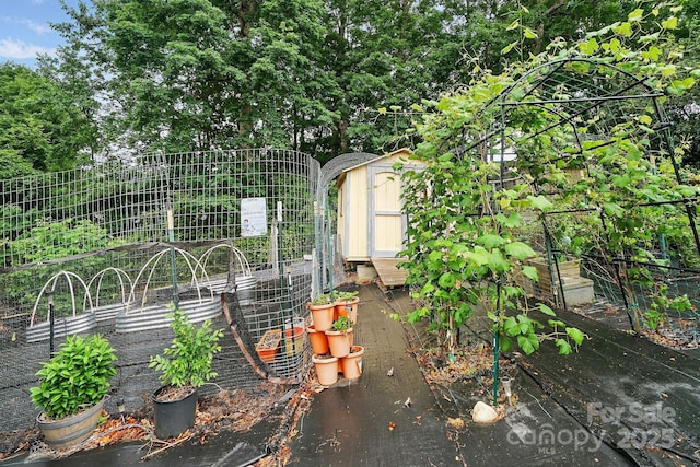 6221 Thermal Rd, Charlotte, NC 28211 - view of yard with a garden, a storage shed, and an outbuilding