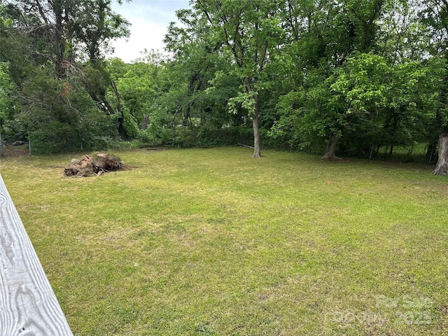view of grassy yard