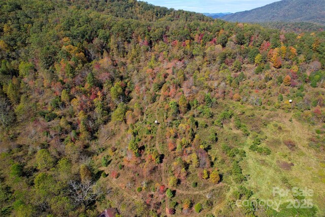 4136 Rose Creek Rd, Franklin, NC 28734 - photo 15