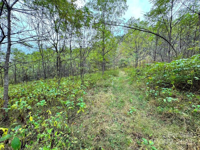 4136 Rose Creek Rd, Franklin, NC 28734 - photo 35