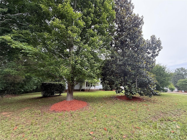 view of grassy yard